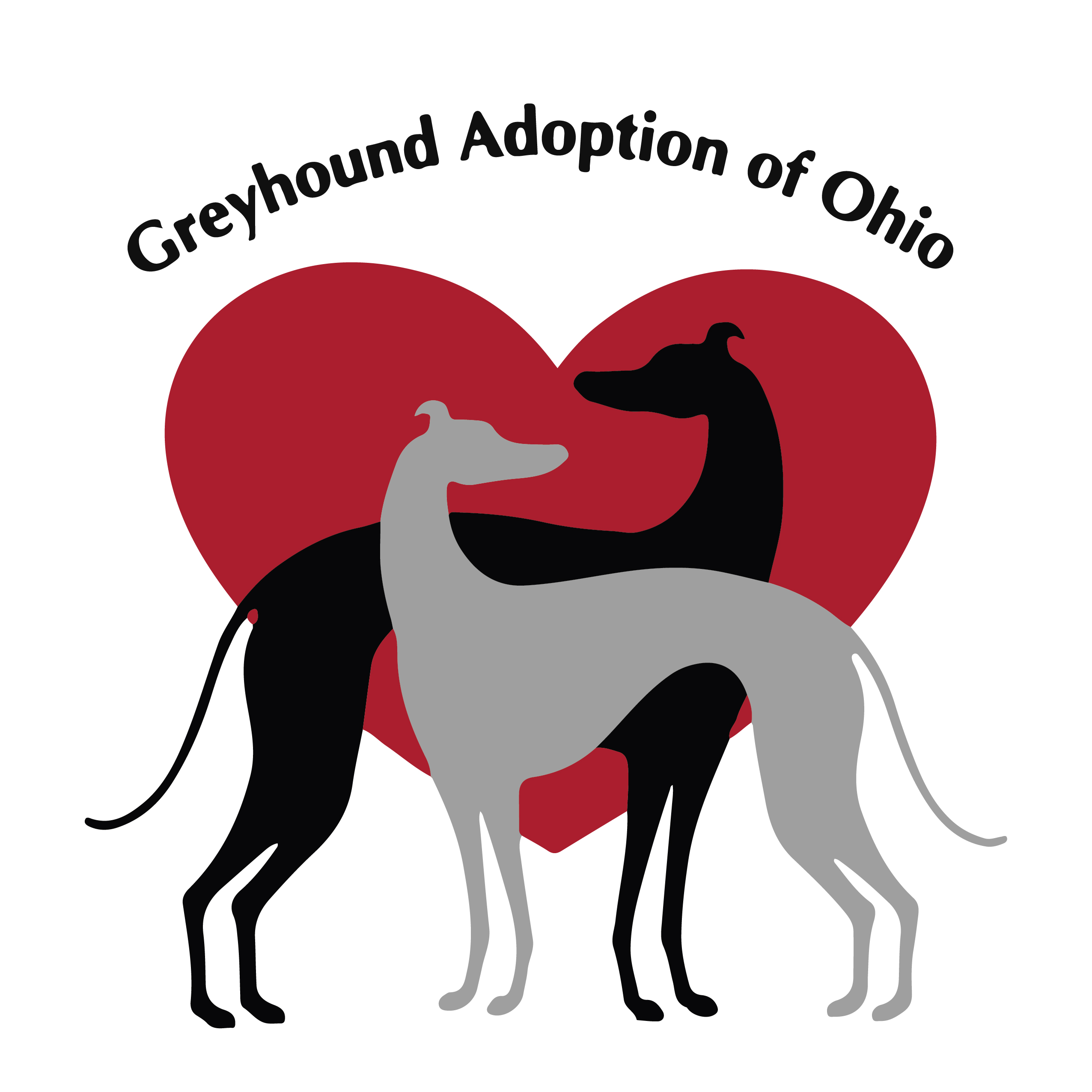 Hertvik Insurance Hertvik Cares Greyhound Adoption of Ohio