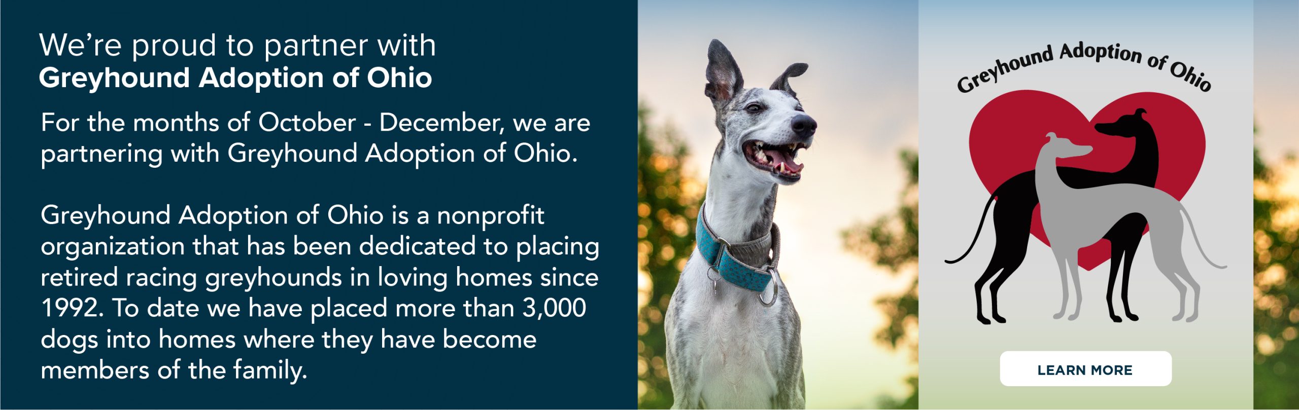 Hertvik Insurance Hertvik Cares Greyhound Adoption of Ohio