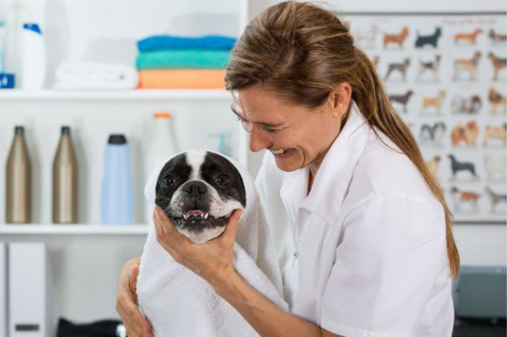 Pet Care Professional Liability