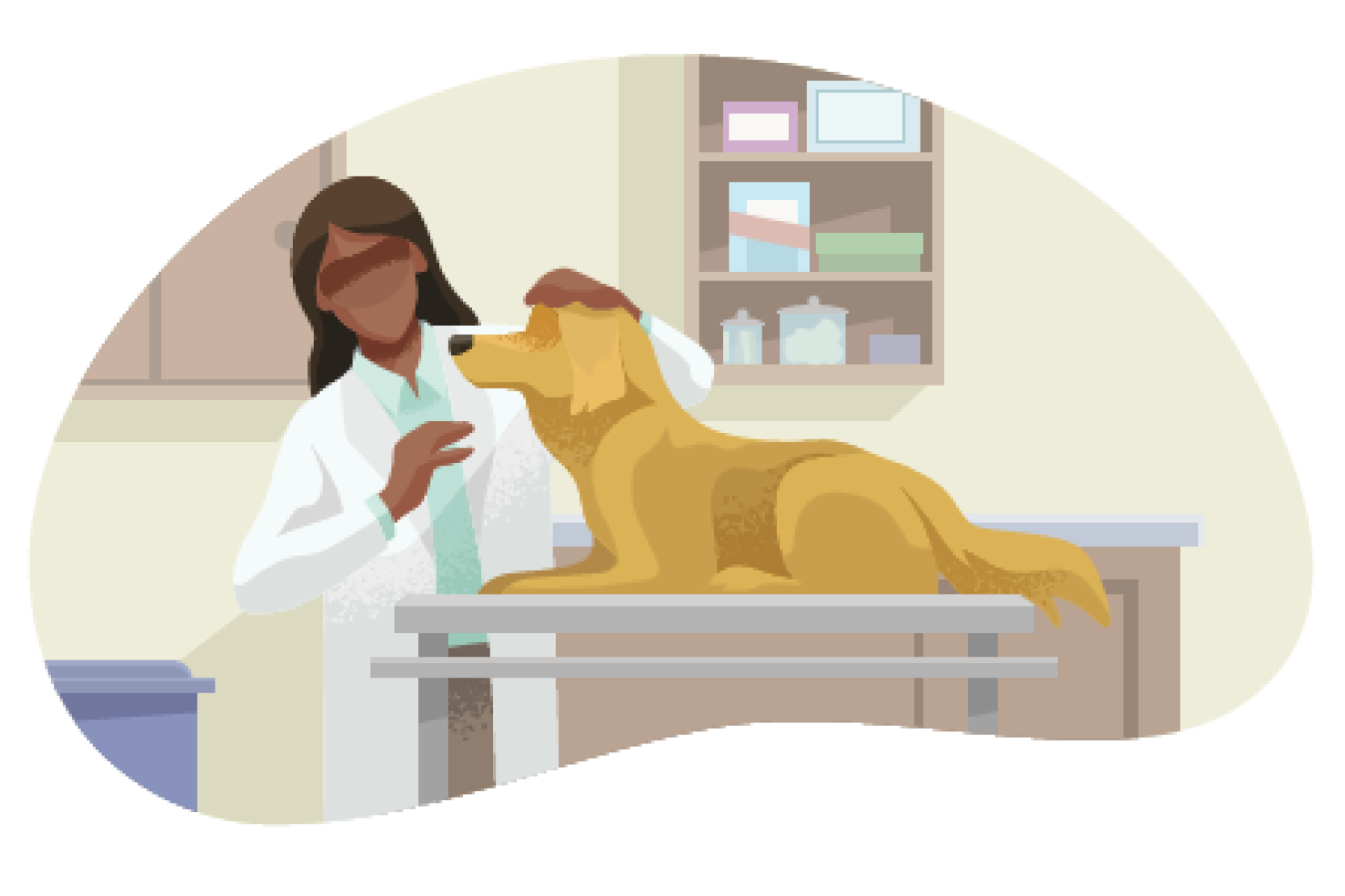 Animal Hospitals and Veterinarians