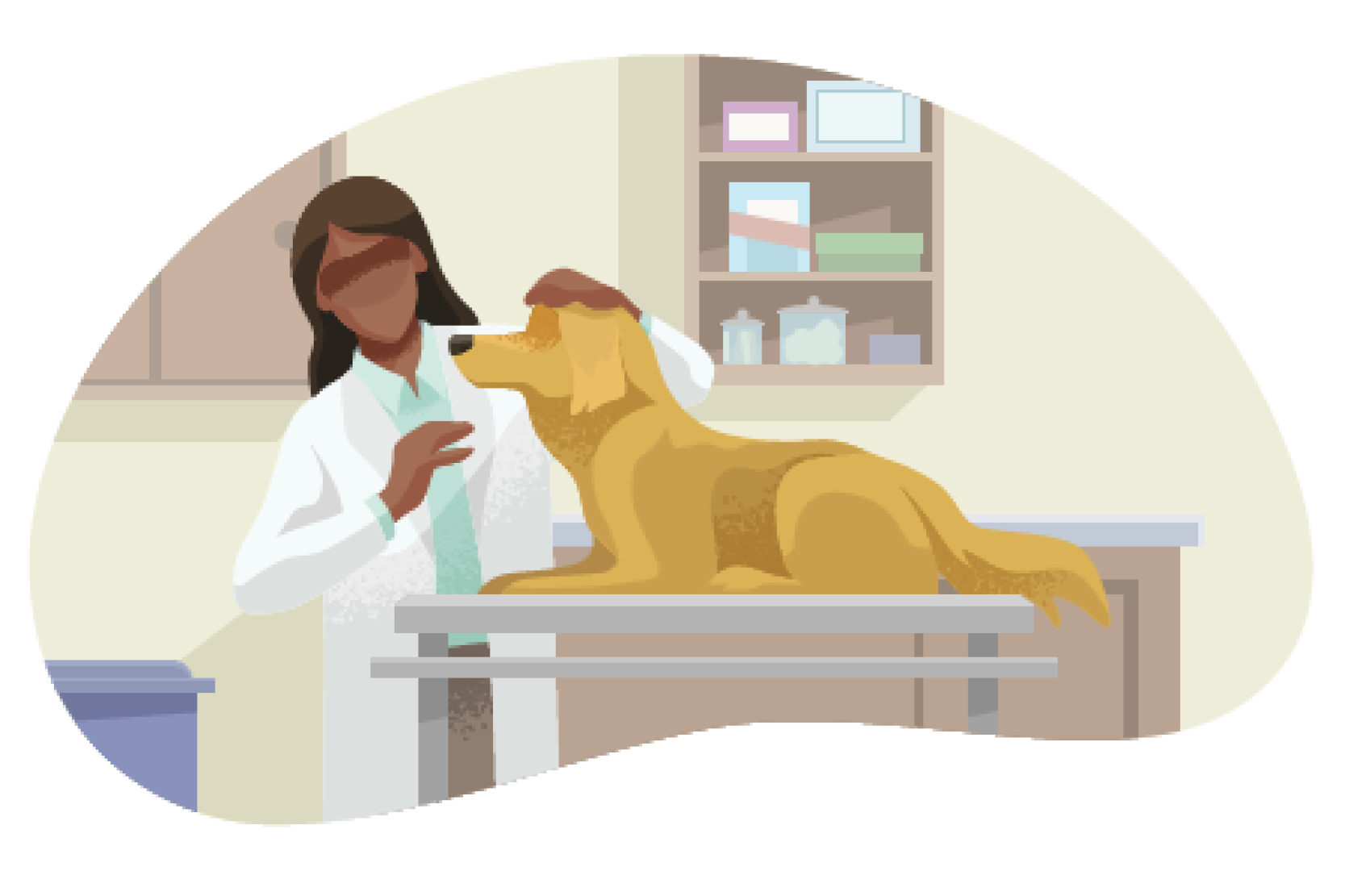 PetProfessions_Images Animal Hospitals and Veterinarians
