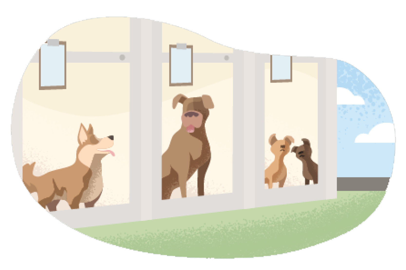 PetProfessions_Images2 Pet Boarding