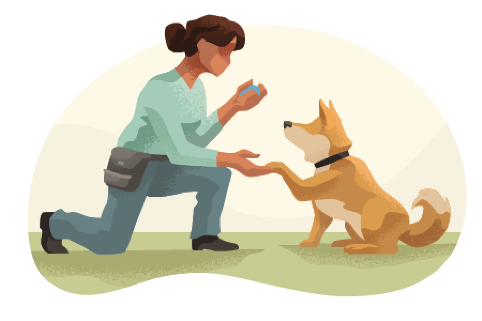 PetProfessions_Images5 Pet Trainer and Dog Walker