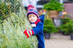 Dry Christmas Tree 12 Days of Christmas Insurance Hertvik Medina Ohio