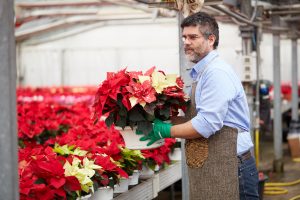 Hiring Seasonal Help Commercial Holiday Risk Insurance Hertvik Medina Ohio