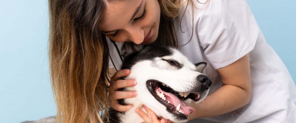 Insurance for Pet Care Providers Hertvik Insurance Medina Sandusky Ohio