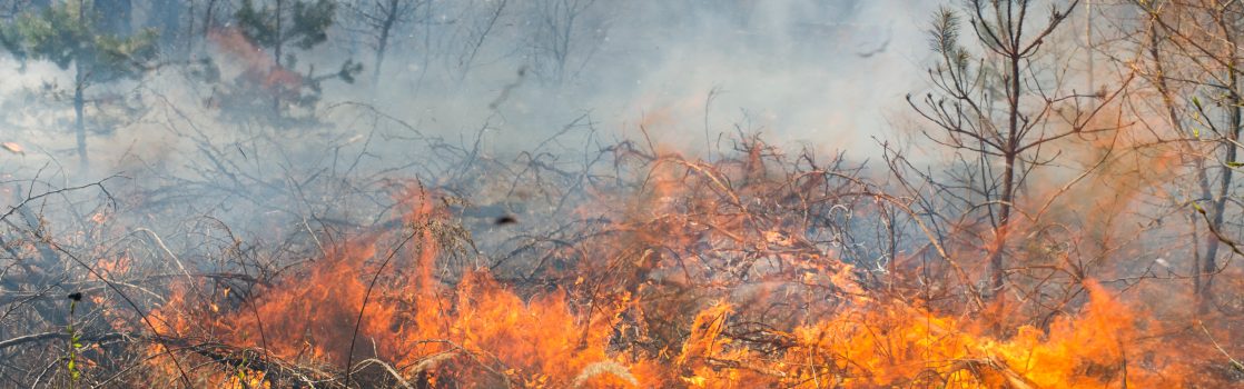 Does My Homeowners Insurance Cover Wildfires? Hertvik Insurance Medina Ohio