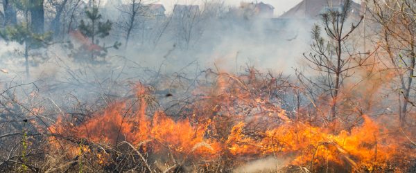 Does My Homeowners Insurance Cover Wildfires? Hertvik Insurance Medina Ohio