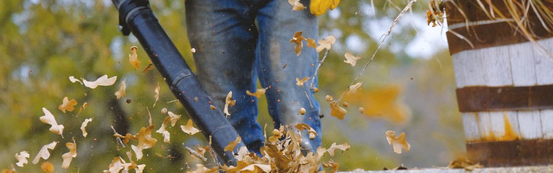 Leaves and Liability: Understanding Sips and Fall Claims with Commercial Insurance Hertvik Insurance Group Medina OH