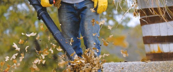 Leaves and Liability: Understanding Sips and Fall Claims with Commercial Insurance Hertvik Insurance Group Medina OH