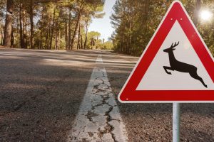 How to Avoid the Most Common Fall Insurance Claims Hertvik Insurance Group Vehicle Collision with Animals