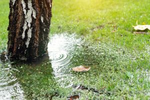 How to prepare for Spring Thaw and Rainy Season with Flood Insurance Hertvik Insurance Group Medina OH