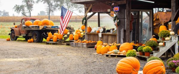 Seasonal Business Insurance: Preparing for Autumn Changes Hertvik Insurance Group Medina OH