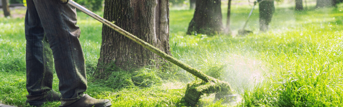 What Type of Insurance Does My Landscaping Business Need? Hertvik Insurance Group Medina OH