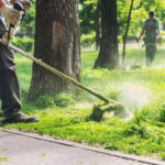 What Type of Insurance Does My Landscaping Business Need? Hertvik Insurance Group Medina OH