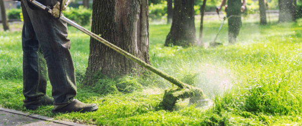 What Type of Insurance Does My Landscaping Business Need? Hertvik Insurance Group Medina OH