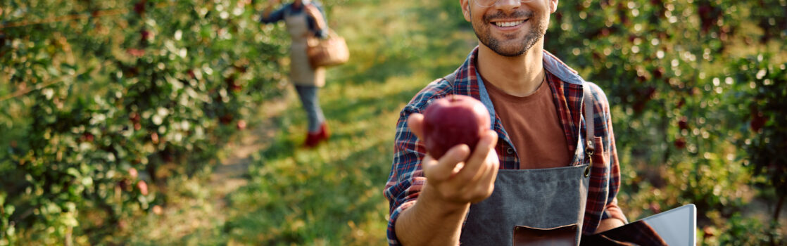 What to Know About Hiring Seasonal Employees Hertvik Insurance Group Medina OH
