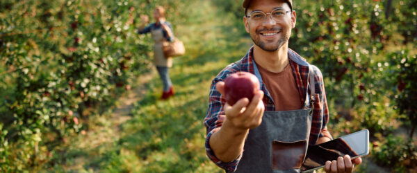 What to Know About Hiring Seasonal Employees Hertvik Insurance Group Medina OH