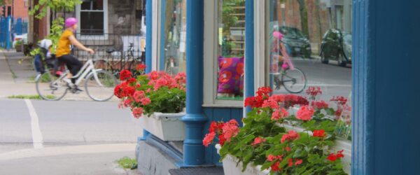 Spring Expansion: Insurance Considerations Before You Grow Hertvik Insurance Group Medina OH